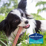 Barkworthies Odor-Free Bully Sticks - Healthy Dog Chews