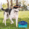 Barkworthies Odor-Free Bully Sticks - Healthy Dog Chews