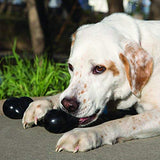 KONG - Extreme Goodie Boneª, dog toy