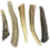 NEW Perfect Pet Chews 5 ct Deer Antler Dog Chews All Natural Grade A Premium Antlers, Long Lasting Dog Treats, Organic Dog Chews, Naturally Shed Antlers from USA
