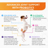 Progility Nootie Hip & Joint  Treats with Probiotics Chewable Glucosamine for Dogs, 90 Cold Pressed Soft Chews