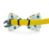 Bow tie dog collar, White Sunflower